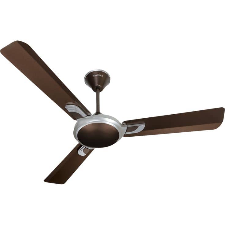 Ceiling Fan & Exhaust